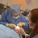 Dental Design Studio logo