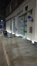 Elite Smiles Dental and Beauty logo