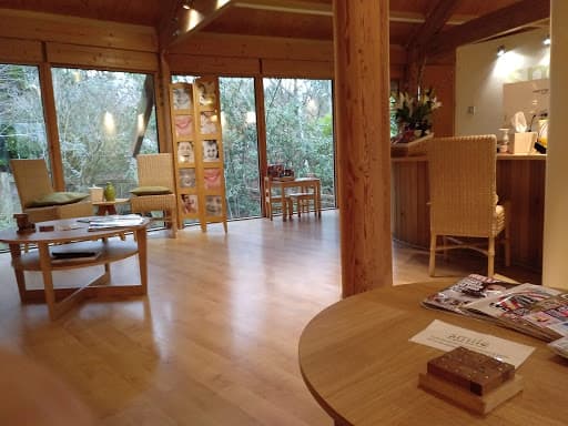 Smile Dental Centre logo